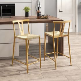 Mercurius Bar Stool; Set of 2