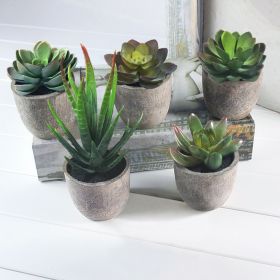 5Pcs Artificial Succulent Cactus Plants; Faux Succulent Cactus Plants with Gray Pots for Home Decor