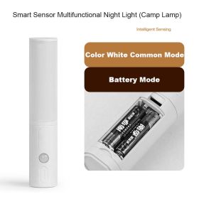 New Style Smart Human Body Induction Motion Sensor LED Night Light For Home Bed Kitchen Cabinet Wardrobe Wall Lamp (Option: Ordinary White Battery Version)